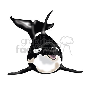 Killer Whale 03 clipart. Royalty-free image # 391615