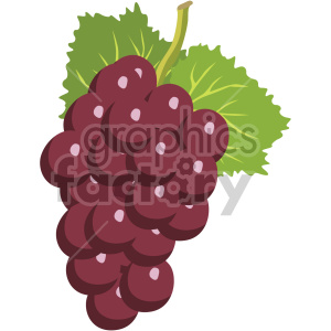 icons fruit grapes food
