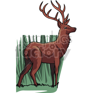 deer buck bucks elk Clip+Art Animals 