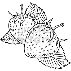black and white strawberries clipart