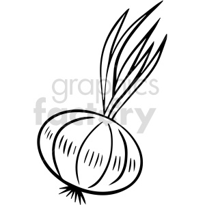clipart - black and white cartoon onion clipart.