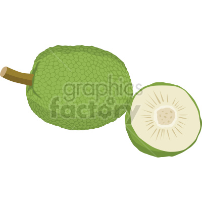 fruit breadfruit