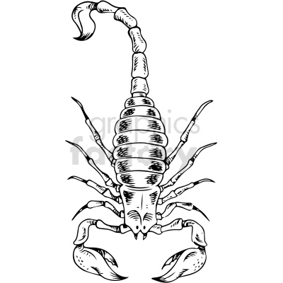 black and white scorpion tattoo design clipart