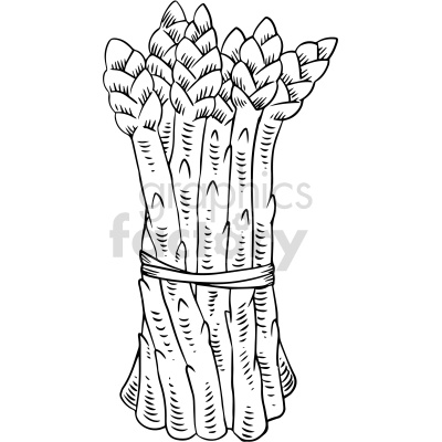 black and white asparagus clipart