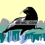   seal seals water  0_Z-03.gif Animations 2D Animals 
