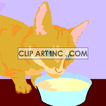 0_cat019 animation. Commercial use animation # 119167