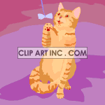 0_cat024 animation. Commercial use animation # 119172