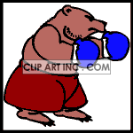   boxing bear bears boxer boxers  Bear002.gif Animations 2D Entertainment 
