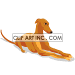   dog dogs greyhound greyhounds  greyhound002.gif Animations 2D Entertainment 