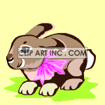 Animated Bunny Card animation. Commercial use animation # 120397