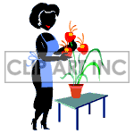 Animated florist preparing flowers. animation. Commercial use animation # 122606