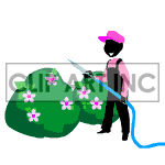 clipart - Animated lawn maintenance guy watering the bushes..