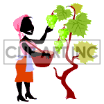 clipart - Animated lady picking grapes..
