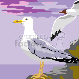 Two Seaguls one Flying and one Standing clipart. Commercial use icon # 128819