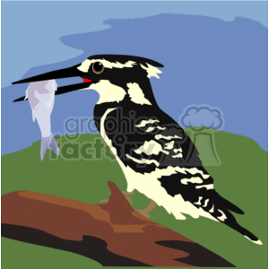 Bird sitting on a branch eating a fish clipart. Commercial use image # 128834