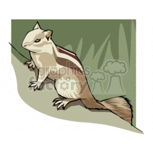 chipmunk clipart. Commercial use image # 128884