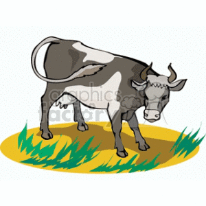  steer milk dairy spots grazing cows Clip Art Animals 
