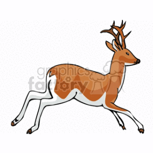   deer antlers brown running animal  deer.gif Clip Art Animals 