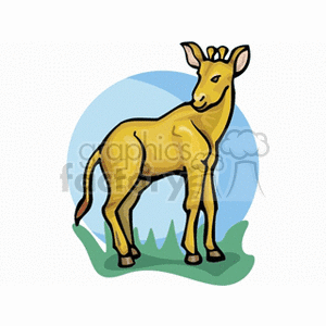 This is a clipart image of an okapi. The okapi is a long-necked animal with a yellow and brown body, standing on a patch of green ground with a blue background. It has a facial structure and body shape similar to that of a giraffe, which is part of the same family.