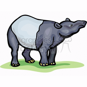   tapir white black rhino animal boar rhinos rhinoceros rhinoceros tapirs boars  tapir3.gif Clip Art Animals 