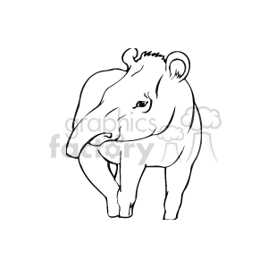 Anml053_bw clipart. Royalty-free image # 129167