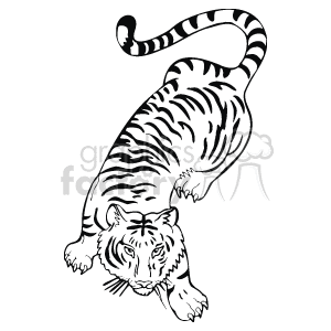  tiger tigers   Anml093_bw Clip Art Animals black white outline prowling