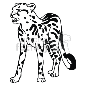  leopard leopards   Anml103_bw Clip Art Animals jaguars jaguar cat cats jungle wild animals big large