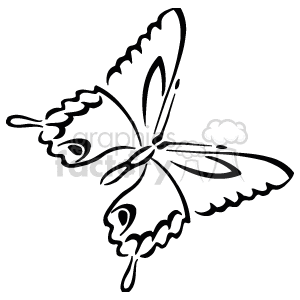  butterfly butterflies   Anmls008B_bw Clip Art Animals tattoo simple