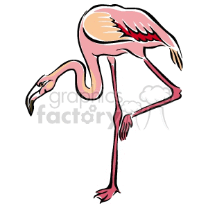 Flamingo clipart. Royalty-free image # 129405