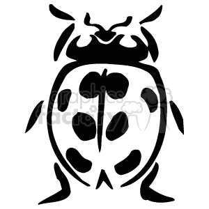  beetles beetle insect insects   Anmls038B_bw Clip Art Animals 