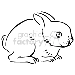 Black and white bunny  clipart. Royalty-free image # 129476