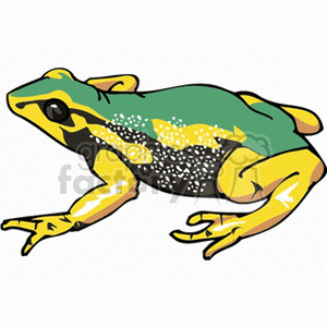   frog frogs water animals amphibian amphibians  frog0011.gif Clip+Art Animals Amphibians rain+forest poison arrow dart tree green yellow black