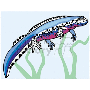Colorful marine lizard swimming clipart. Commercial use image # 129891