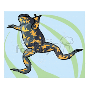 The clipart image depicts a stylized black and orange frog, seen from a side view, swimming through water. The frog appears to be in motion, with its legs stretched out behind it, suggesting it is propelling itself forward. The background has circular ripples, indicating the frog's movement through the water.