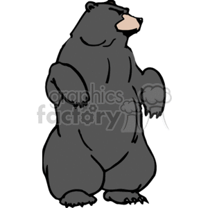 Black bear standing upright on hind legs clipart.