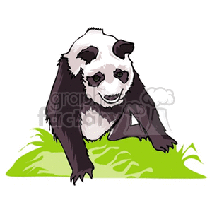 Panda crawling through grass clipart.