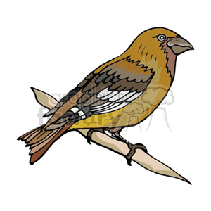 Barn swallow clipart. Commercial use image # 130208