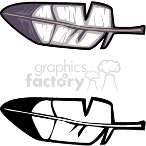 Two bird feathers clipart.