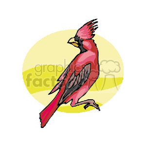 Brightly colored red male cardinal clipart. Royalty-free image # 130263