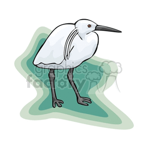 Side profile of a white egret  clipart. Royalty-free image # 130384