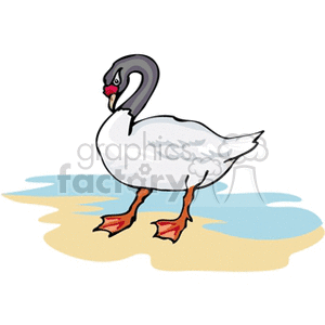 Gray and white goose at water's edge clipart. Commercial use image # 130435