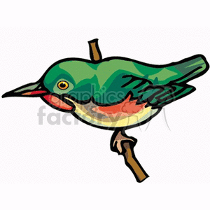 Ruby-throated Hummingbird perched on a branch clipart. Commercial use image # 130437