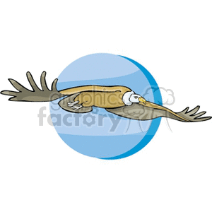 Vulture flying against a blue background clipart. Commercial use image # 130441