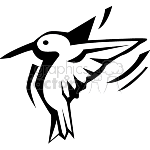 Black and white hummingbird silhouette