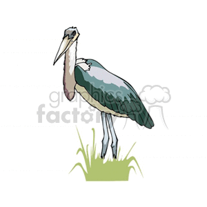 White and grey heron standing in marsh clipart. Commercial use image # 130505