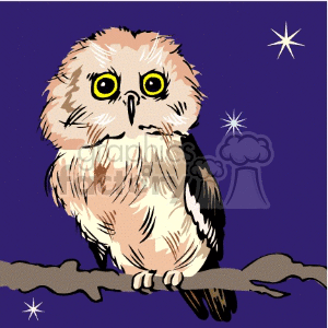 Owl on a clear starry night clipart. Commercial use image # 130522