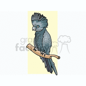 Gray cockatoo perched on a branch clipart. Royalty-free image # 130533