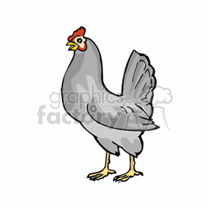 Grey and white rooster clipart. Royalty-free image # 130622