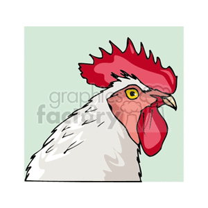 White rooster with red comb clipart. Commercial use image # 130627