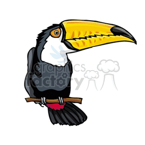 Toco toucan on branch clipart. Royalty-free image # 130691